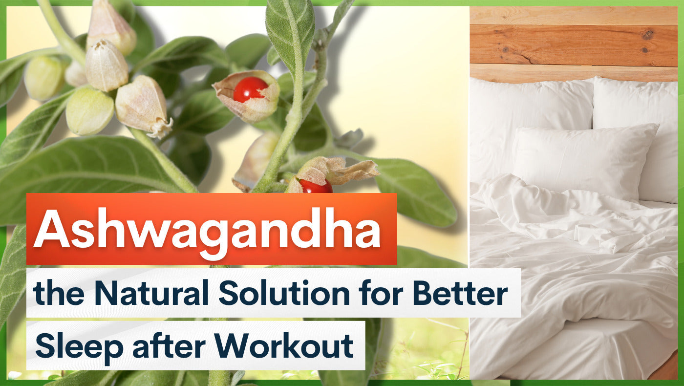 Ashwagandha: the Natural Solution for Better Sleep after Workout