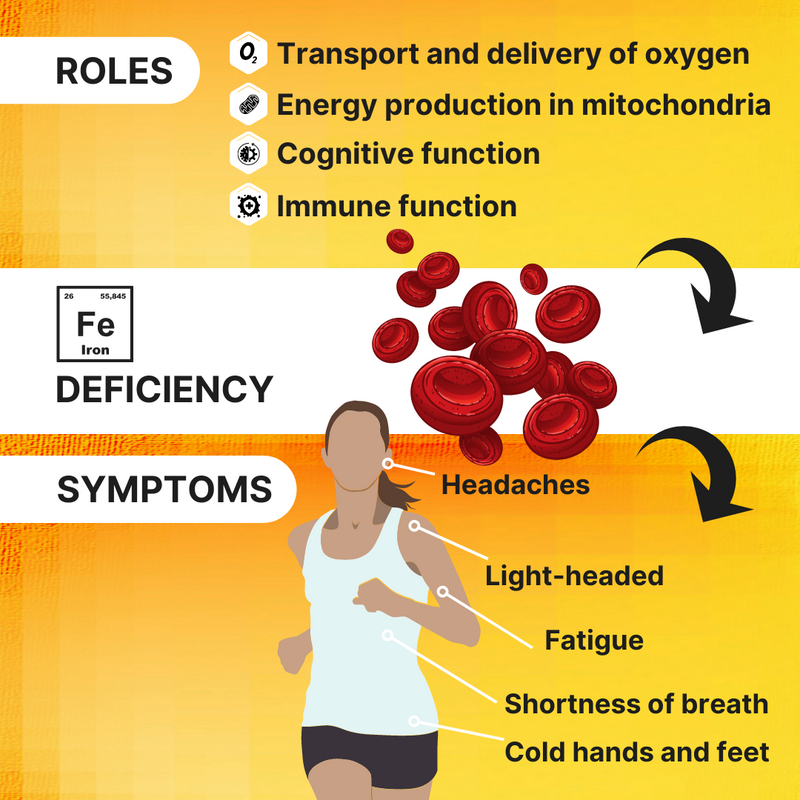 Iron__4EndurancePro_Optimal_Dose_Reduces_Fatigue