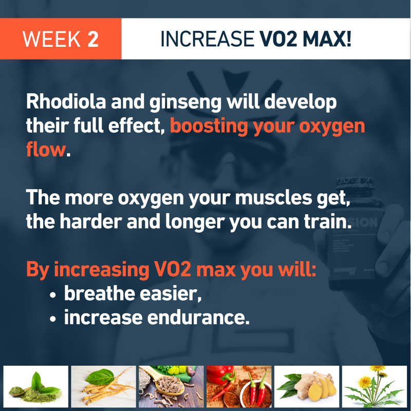 Fusion_Fat Burning_VO2_max_4Endurance_Pro